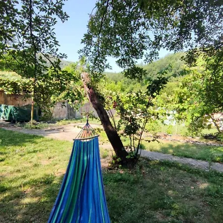 за гости роса