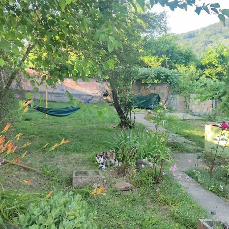 за гости роса