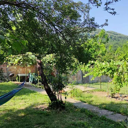 за гости роса