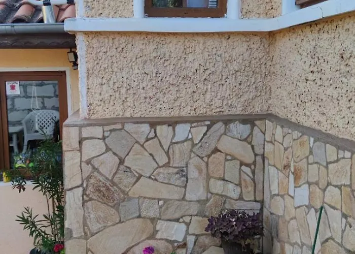 за гости роса *