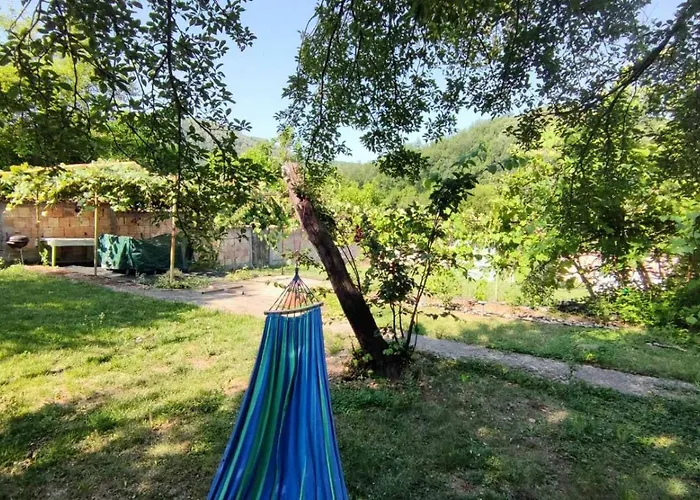 за гости роса