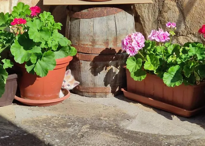 아파트 за гости роса