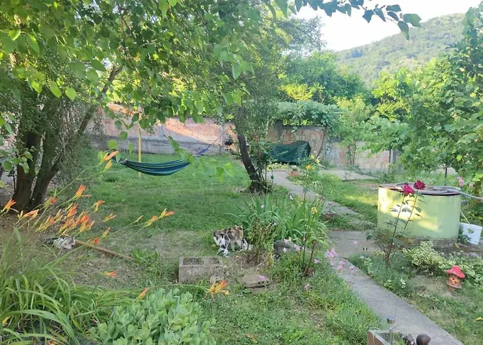 за гости роса