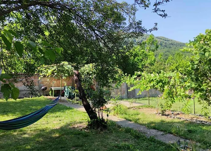 за гости роса