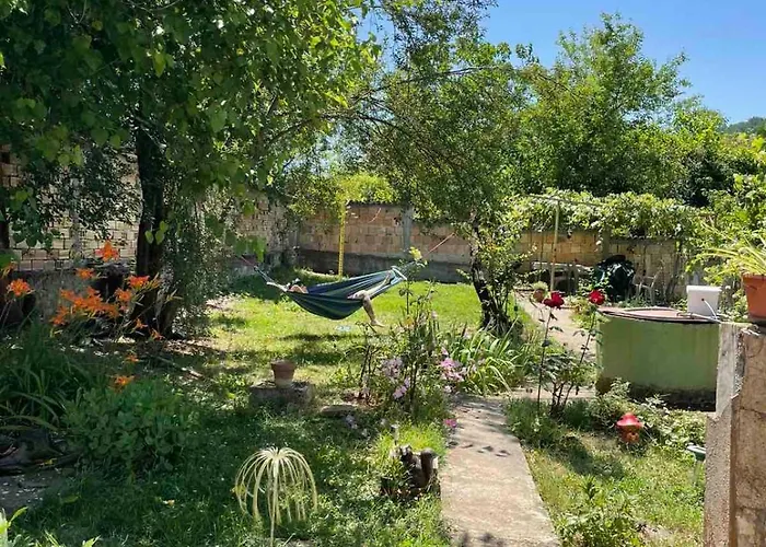 за гости роса Rosno